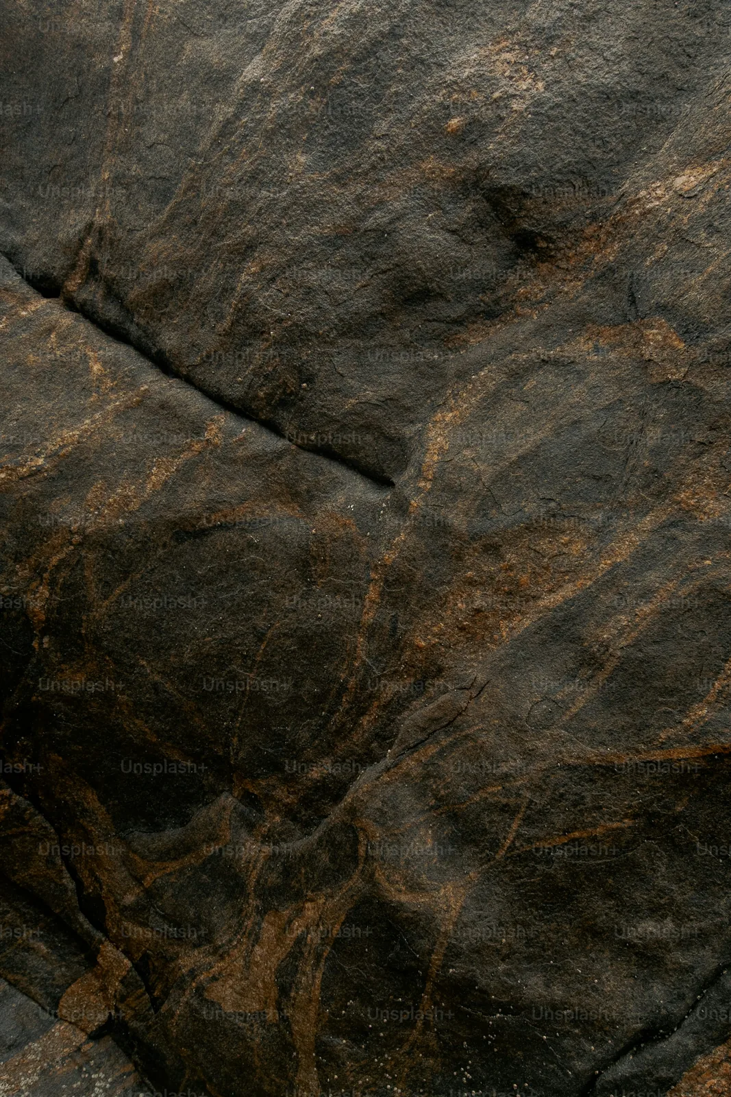 Dark rock surface with branching mineral veins