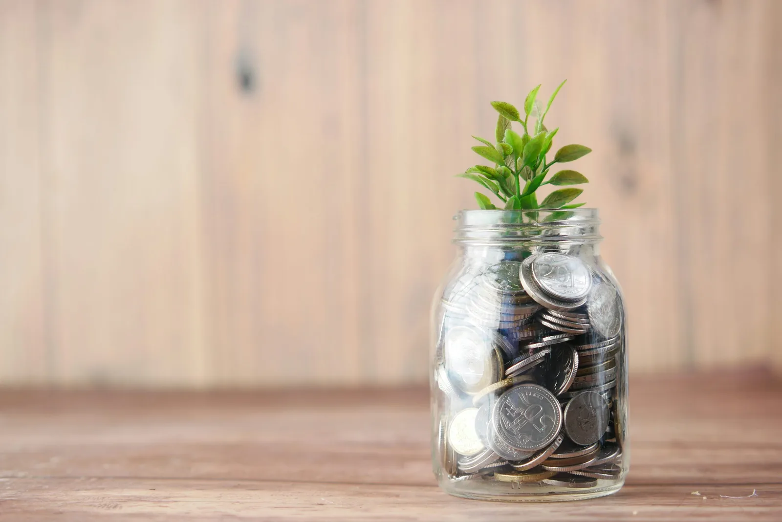 Glass jar of coins with a small green plant